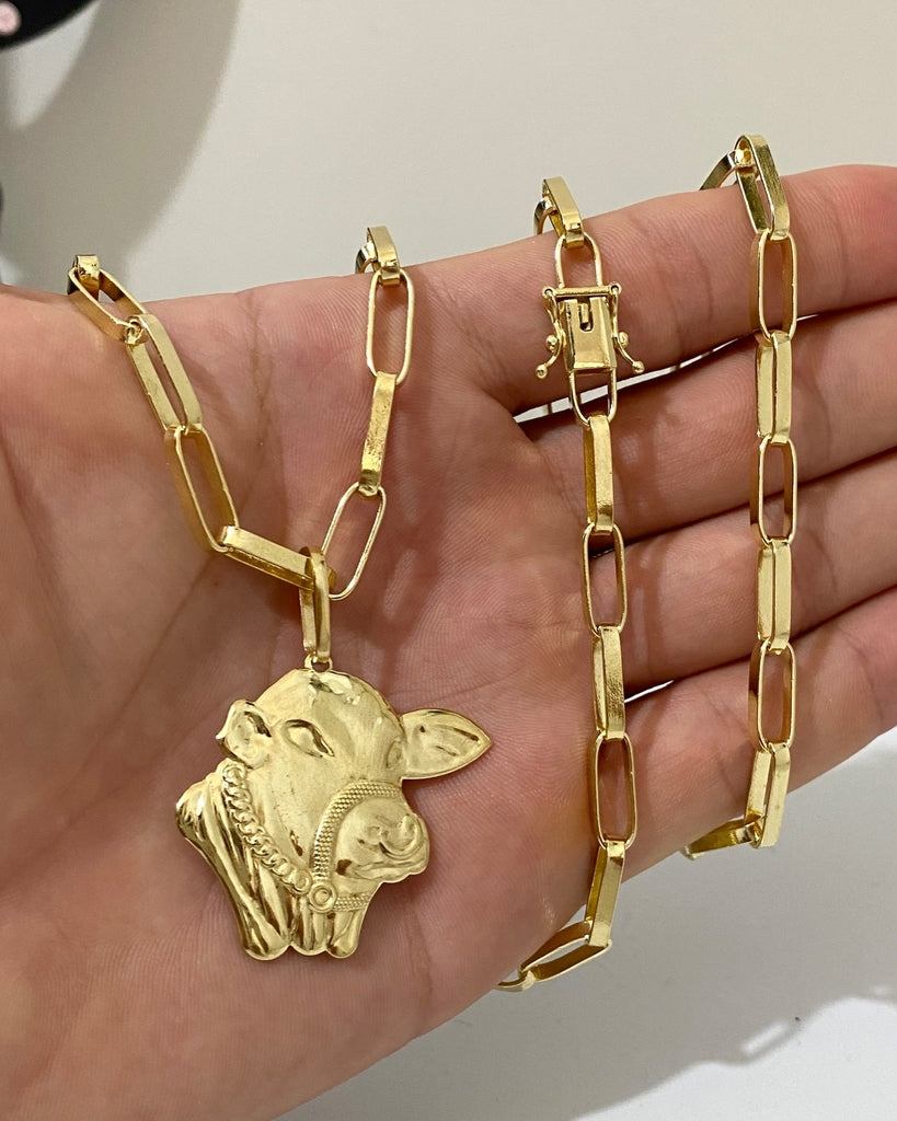 CORRENTE TIJOLINHO LONG 5MM + PINGENTE FACE DO BOI