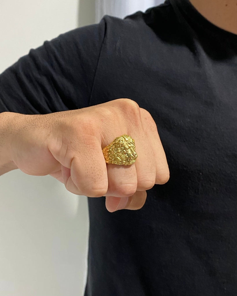 ANEL LEÃO TRIBO DE JUDÁ