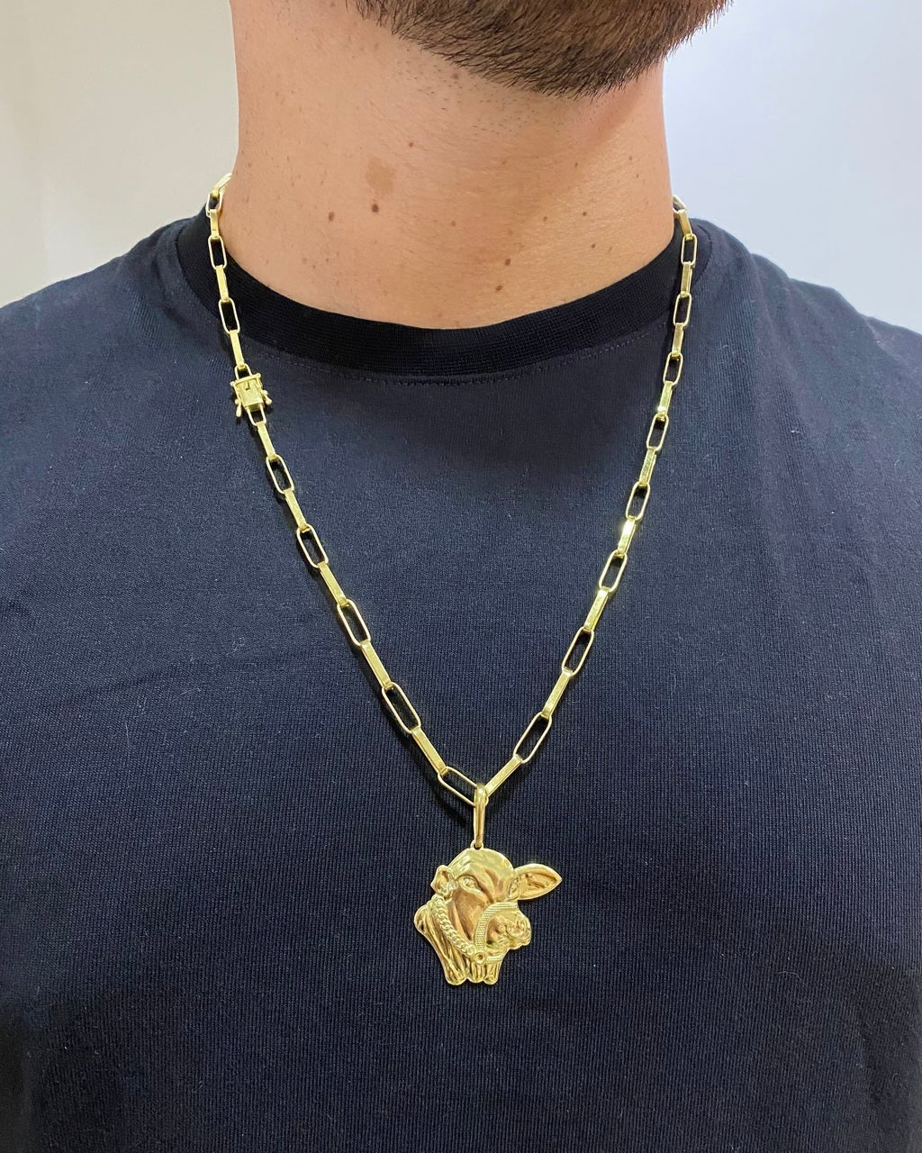 CORRENTE TIJOLINHO LONG 5MM + PINGENTE FACE DO BOI