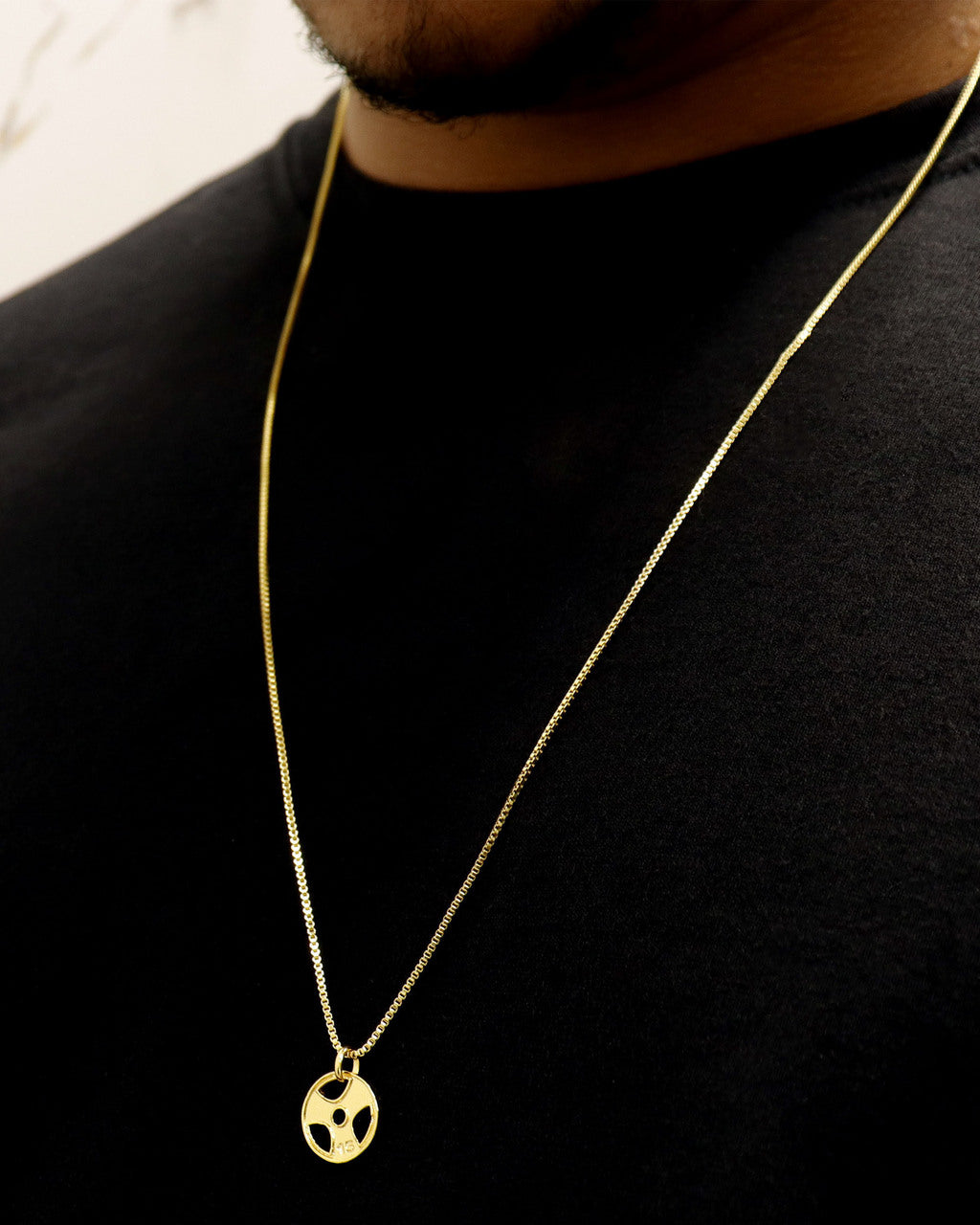 PINGENTE BANHADO: ANILHA