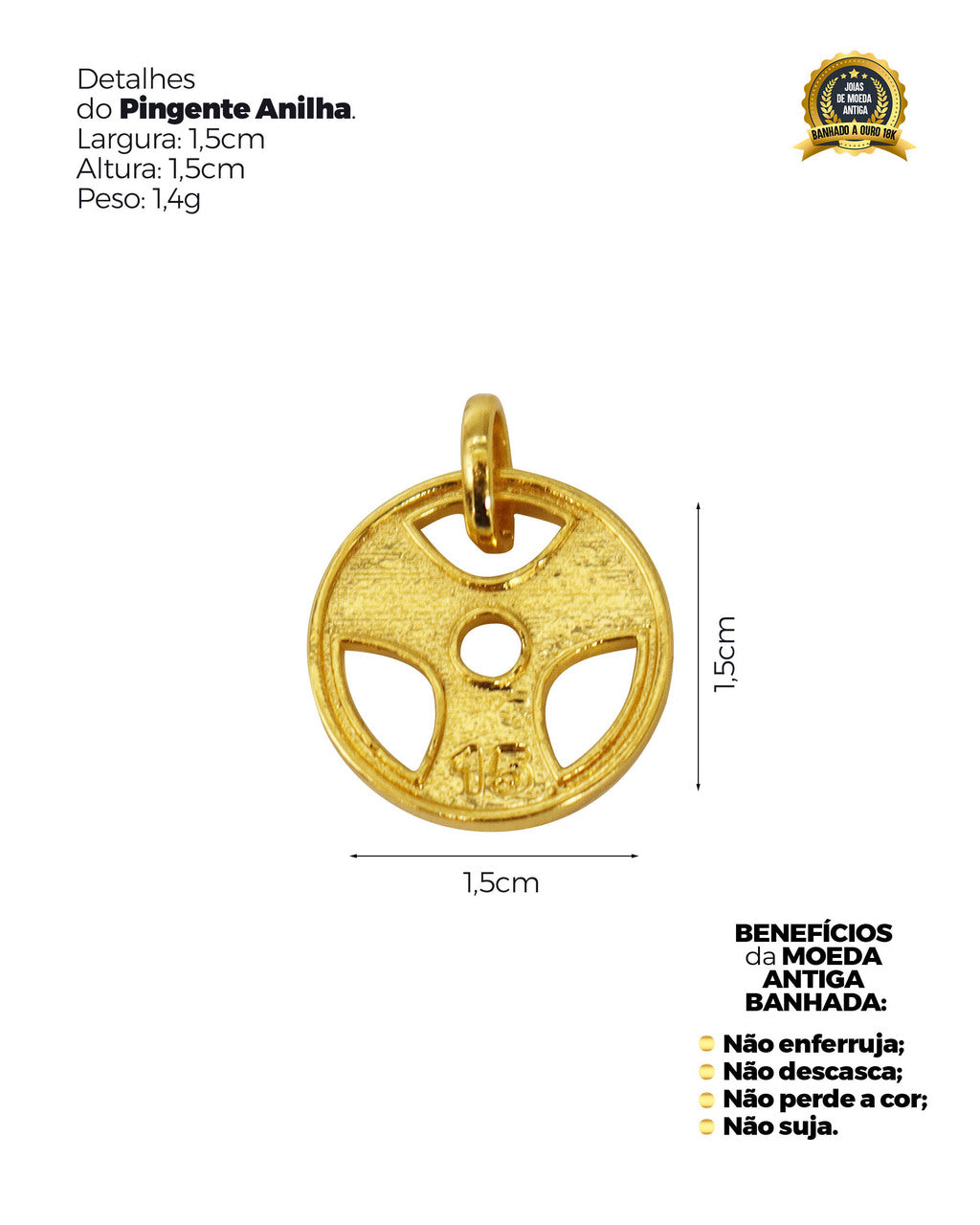 PINGENTE BANHADO: ANILHA