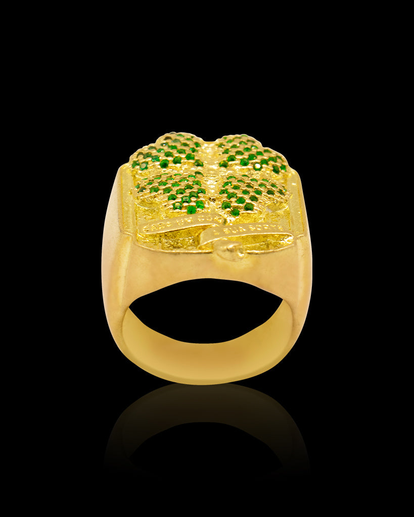 DEDEIRA: TREVO CADA UM COM A SUA SORTE